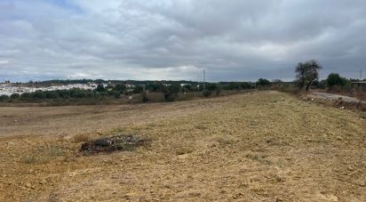 Land of 32,976 m² in Bonares (21830)