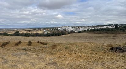 Land of 32,976 m² in Bonares (21830)