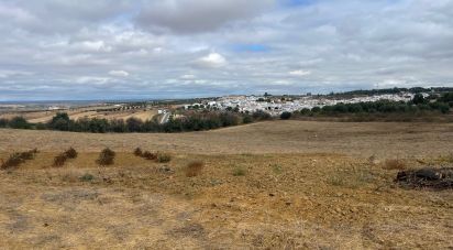 Land of 32,976 m² in Bonares (21830)