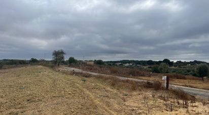 Land of 32,976 m² in Bonares (21830)