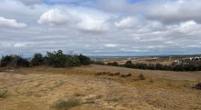 Land of 32,976 m² in Bonares (21830)