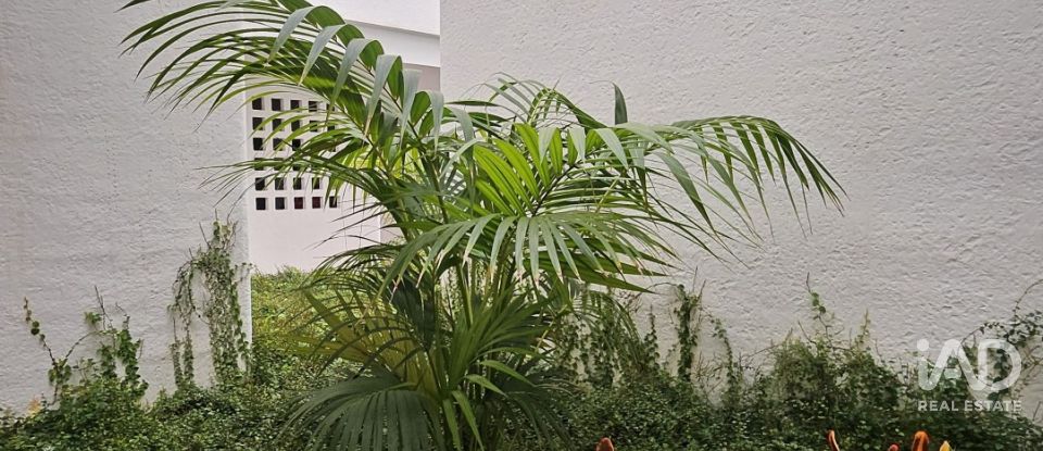 Ático 3 habitaciones de 80 m² en San Juan de Los Terreros (04648)