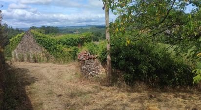 Terrain à bâtir de 3 634 m² à Paradela (36685)