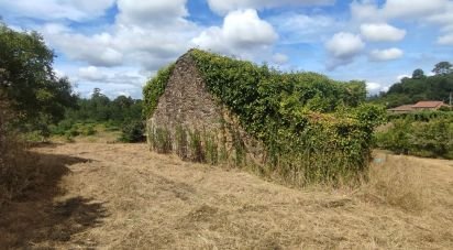 Terrain à bâtir de 3 634 m² à Paradela (36685)