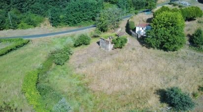 Terrain à bâtir de 3 634 m² à Paradela (36685)