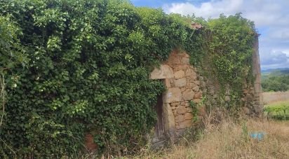 Terrain à bâtir de 3 634 m² à Paradela (36685)