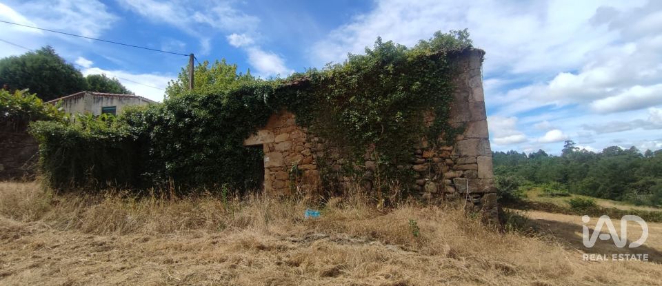 Terrain à bâtir de 3 634 m² à Paradela (36685)