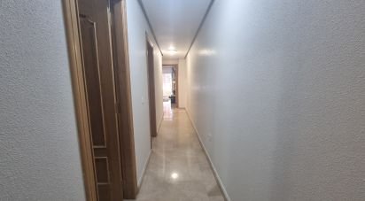 Apartment 3 bedrooms of 110 m² in Torrevieja (03181)