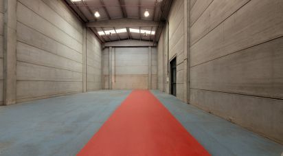 Paredes comerciales de 1.128 m² en Cervelló (08758)