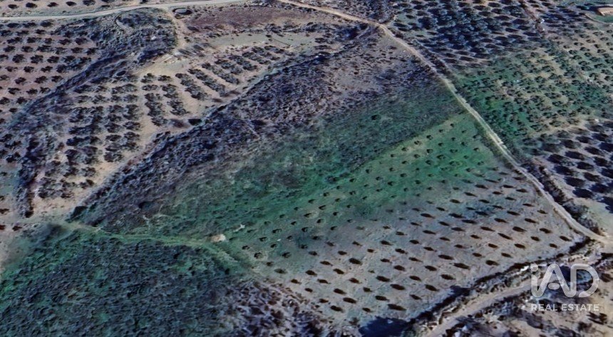 Terreno de 34.230 m² en Alcaucín (29711)