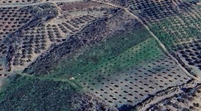 Terreno de 34.230 m² en Alcaucín (29711)