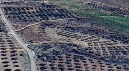 Terreno de 34.230 m² en Alcaucín (29711)