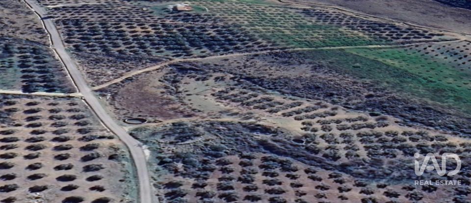 Terreno de 34.230 m² en Alcaucín (29711)