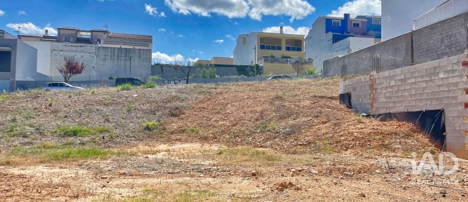 Building plot of 135 m² in Pego (03780)