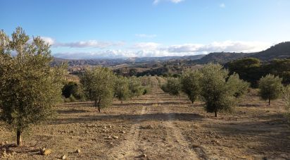 Terreny de 308.000 m² a Alamedilla (18520)