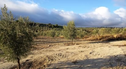 Terreny de 308.000 m² a Alamedilla (18520)