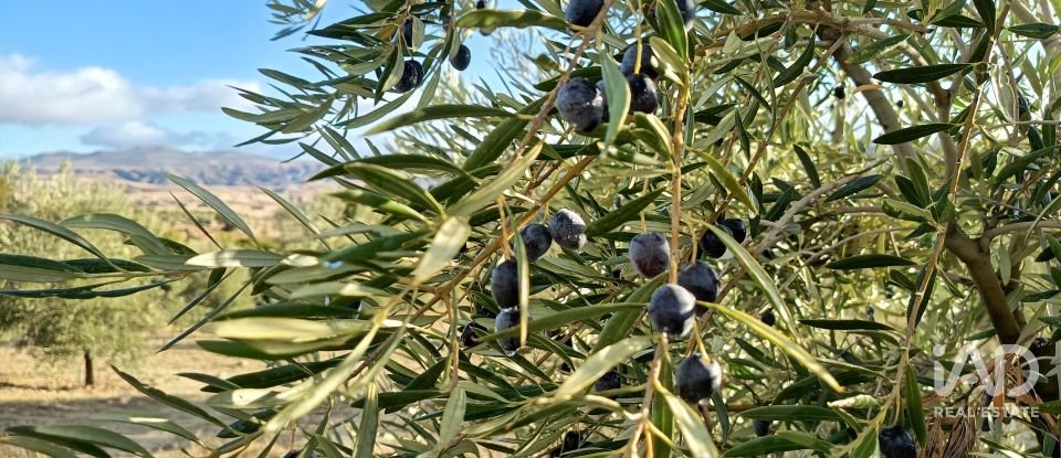 Terreny de 308.000 m² a Alamedilla (18520)