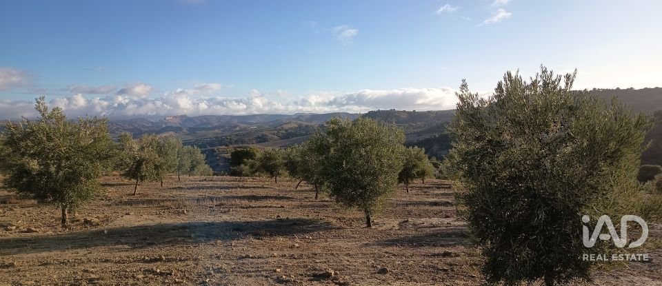 Terreny de 308.000 m² a Alamedilla (18520)