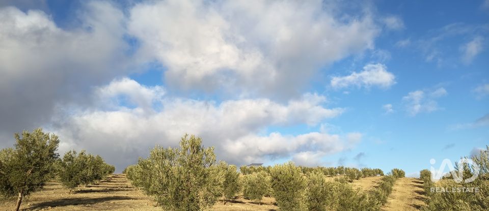 Terreny de 308.000 m² a Alamedilla (18520)