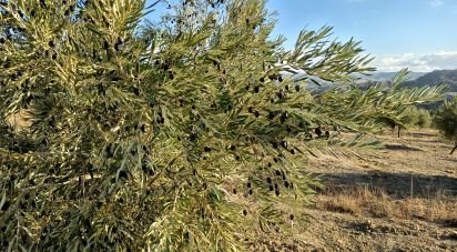 Terreny de 308.000 m² a Alamedilla (18520)