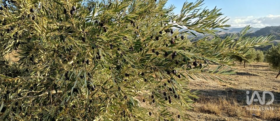 Terreny de 308.000 m² a Alamedilla (18520)