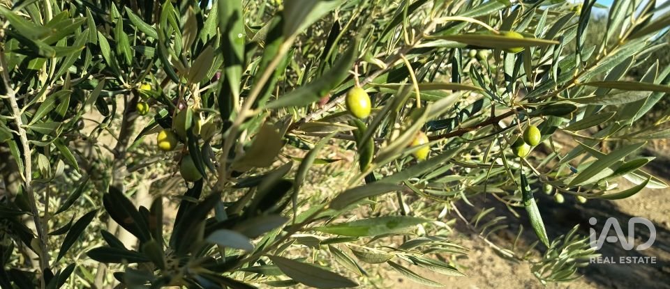 Terreny de 308.000 m² a Alamedilla (18520)