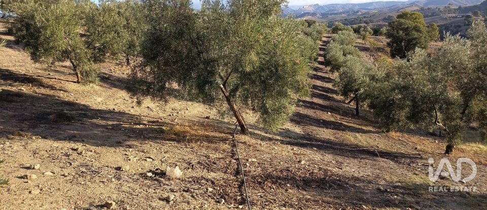 Terreny de 308.000 m² a Alamedilla (18520)