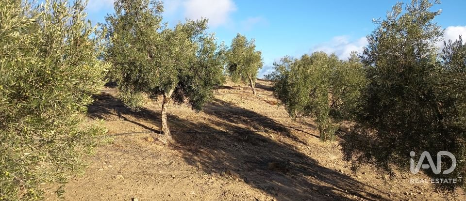 Terreny de 308.000 m² a Alamedilla (18520)