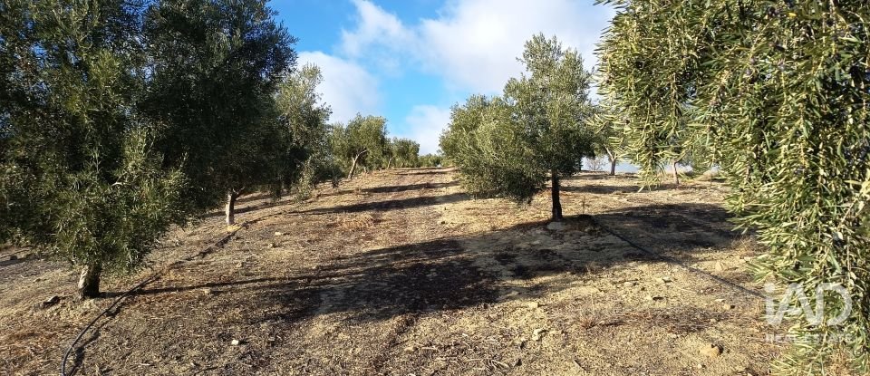 Terreny de 308.000 m² a Alamedilla (18520)