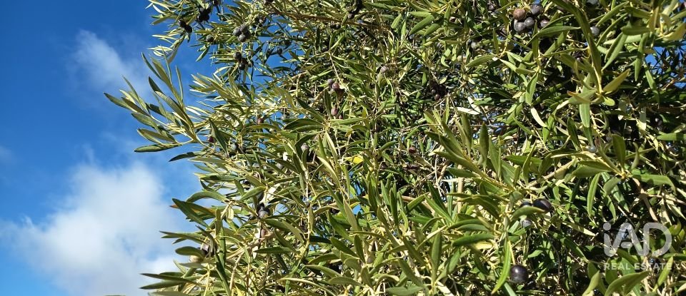 Terreny de 308.000 m² a Alamedilla (18520)