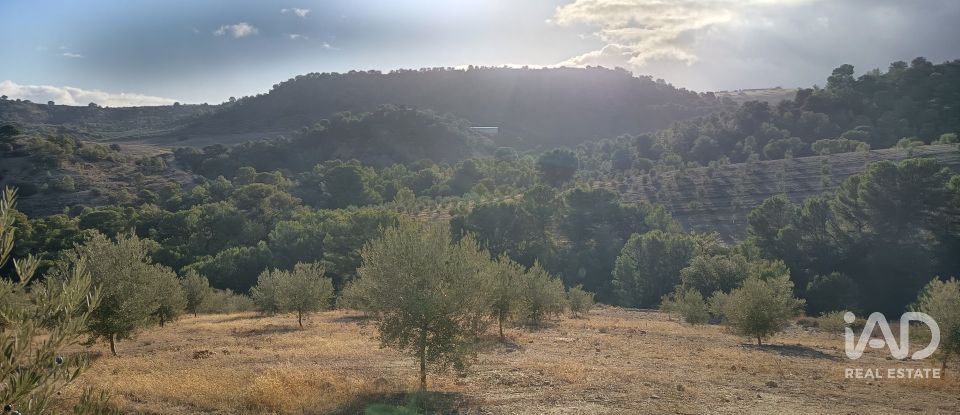 Terreny de 308.000 m² a Alamedilla (18520)