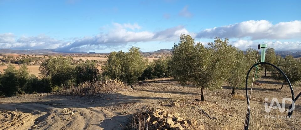 Terreny de 308.000 m² a Alamedilla (18520)