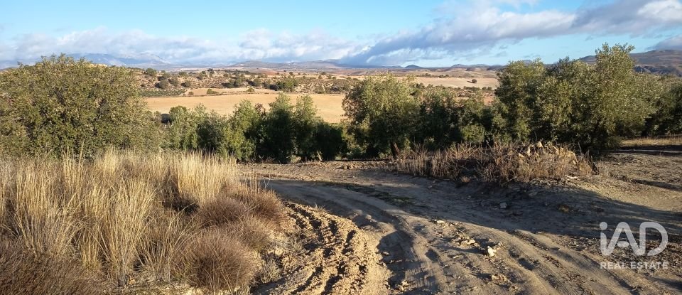 Terreny de 308.000 m² a Alamedilla (18520)