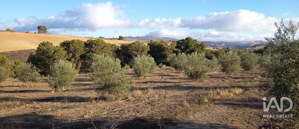 Terreny de 308.000 m² a Alamedilla (18520)