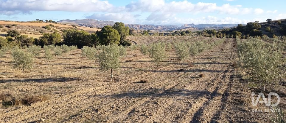 Terreny de 308.000 m² a Alamedilla (18520)