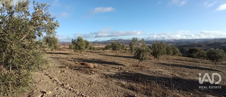 Terreny de 308.000 m² a Alamedilla (18520)