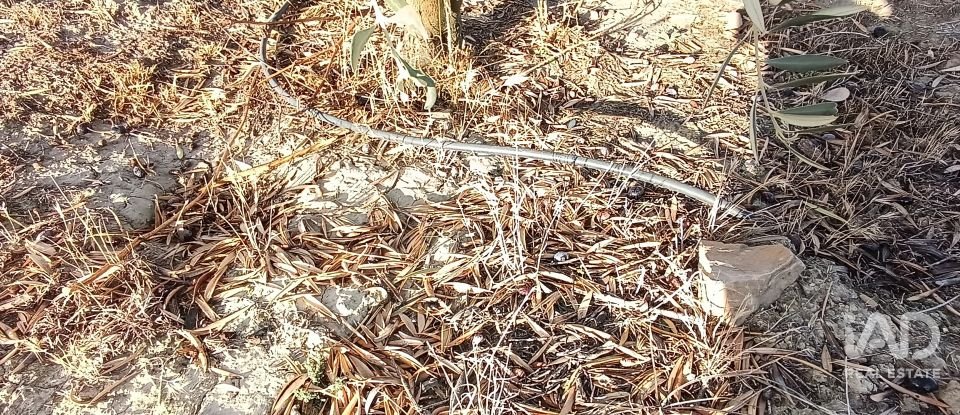 Terreny de 308.000 m² a Alamedilla (18520)