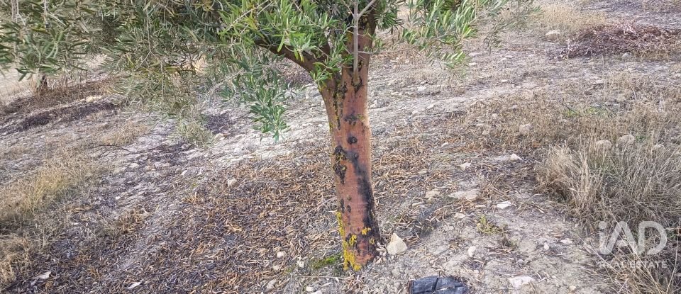 Terreny de 308.000 m² a Alamedilla (18520)