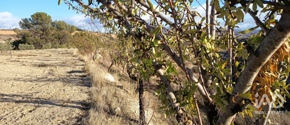 Terreny de 308.000 m² a Alamedilla (18520)