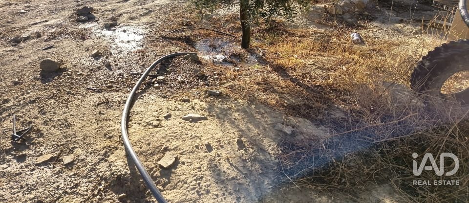 Terreny de 308.000 m² a Alamedilla (18520)