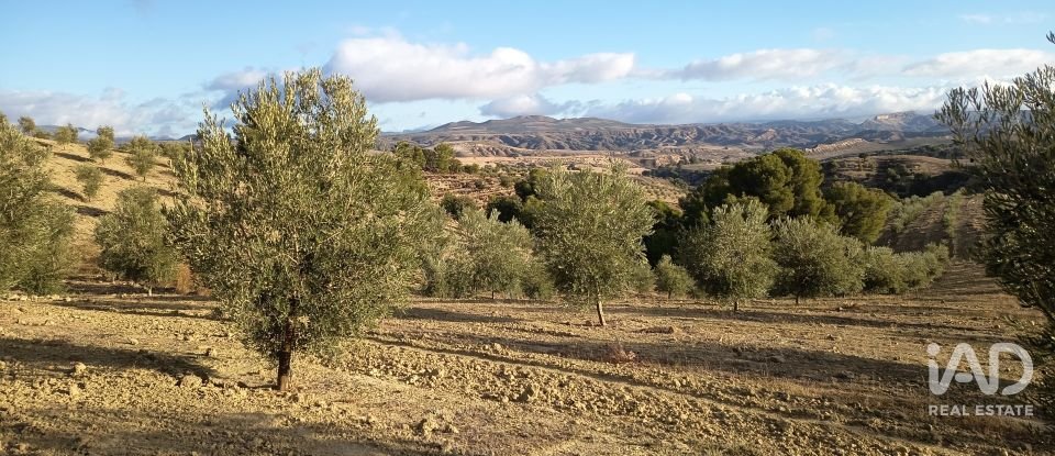 Terreny de 308.000 m² a Alamedilla (18520)