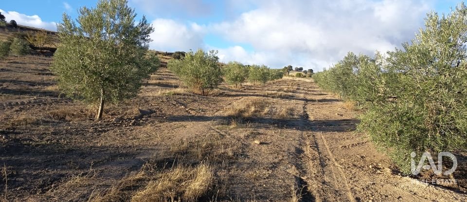 Terreny de 308.000 m² a Alamedilla (18520)