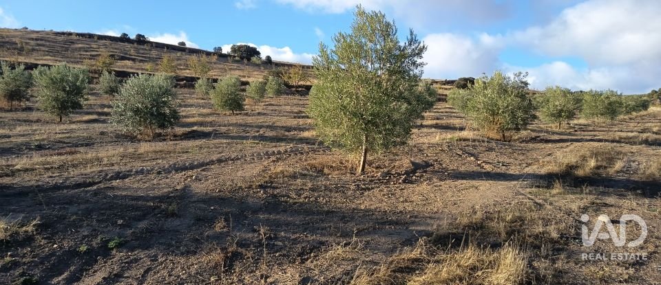 Terreny de 308.000 m² a Alamedilla (18520)