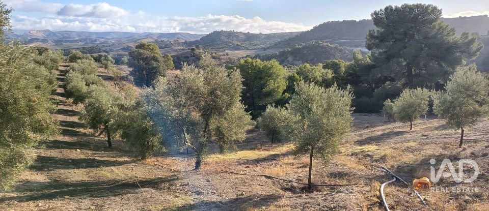 Terreny de 308.000 m² a Alamedilla (18520)