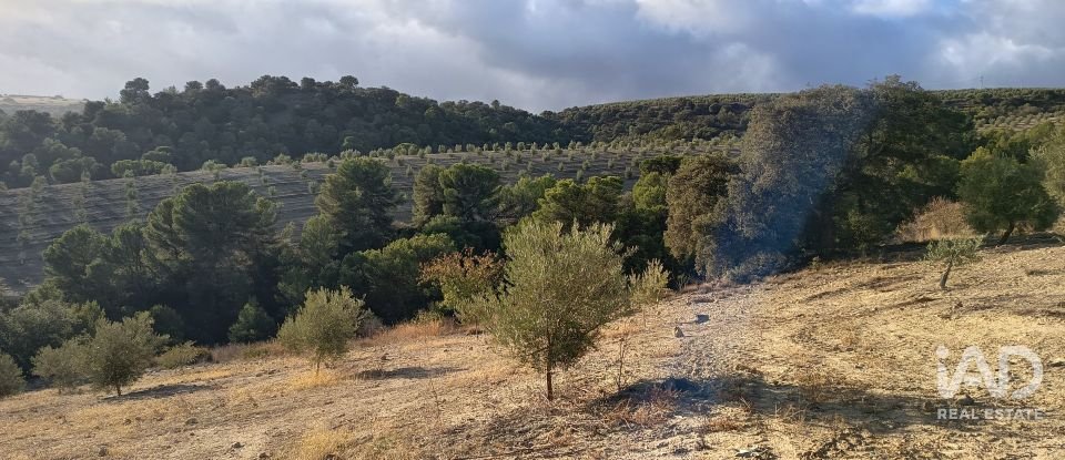 Terreny de 308.000 m² a Alamedilla (18520)