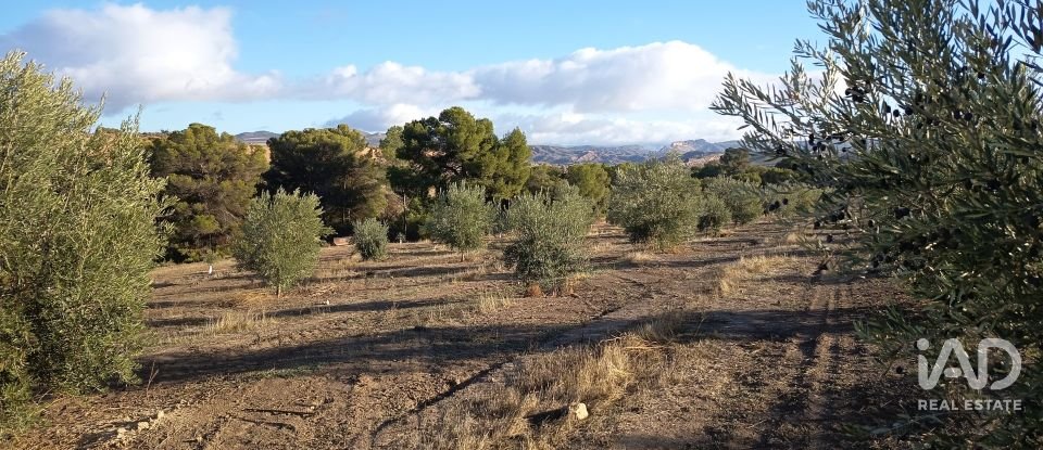 Terreny de 308.000 m² a Alamedilla (18520)