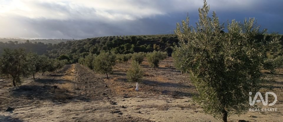 Terreny de 308.000 m² a Alamedilla (18520)