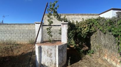 Land of 650 m² in Chiclana de la Frontera (11130)