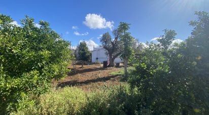 Land of 650 m² in Chiclana de la Frontera (11130)