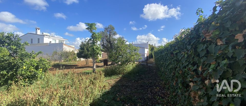 Terreny de 650 m² a Chiclana de la Frontera (11130)